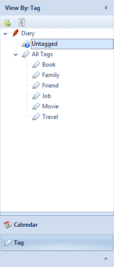 Tag View for Diary